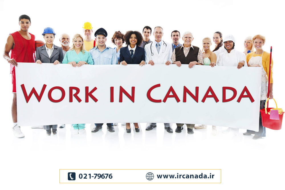 قانون استخدام در کانادا چه ویژگی‌هایی دارد؟